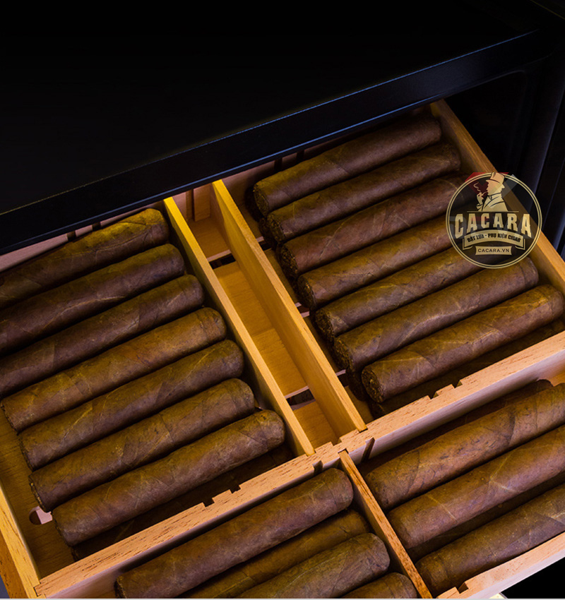 Tủ cắm điện bảo quản cigar Lubinski RA333